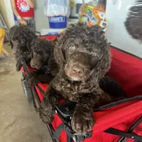 processed/4596937d-4e8a-47e7-906d-9ff7de59cbd6/facility/b1e5b42c-5c7e-4000-9eb0-a2155e1807c5