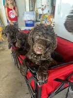 processed/4596937d-4e8a-47e7-906d-9ff7de59cbd6/facility/b1e5b42c-5c7e-4000-9eb0-a2155e1807c5