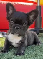 processed/4596937d-4e8a-47e7-906d-9ff7de59cbd6/listing/06518208-bcf0-4008-90dc-f9eed7dc1571/166e8ede-5636-44f4-bf66-511cc2965fde