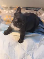 processed/4596937d-4e8a-47e7-906d-9ff7de59cbd6/listing/06518208-bcf0-4008-90dc-f9eed7dc1571/330d4f87-9861-47e5-b610-c4285ae57bf9