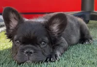 processed/4596937d-4e8a-47e7-906d-9ff7de59cbd6/listing/06518208-bcf0-4008-90dc-f9eed7dc1571/354a780b-0124-4018-b85d-4f2e7bb121e5