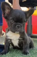 processed/4596937d-4e8a-47e7-906d-9ff7de59cbd6/listing/06518208-bcf0-4008-90dc-f9eed7dc1571/a62f40fd-b102-4500-b60a-f2bdeae05a93