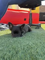 processed/4596937d-4e8a-47e7-906d-9ff7de59cbd6/listing/06518208-bcf0-4008-90dc-f9eed7dc1571/bfae67c6-875a-40ac-8448-82ff1e568e4d