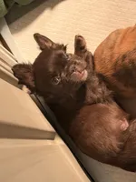 processed/4596937d-4e8a-47e7-906d-9ff7de59cbd6/listing/06518208-bcf0-4008-90dc-f9eed7dc1571/fbb2b2aa-665b-46c7-b1d8-f17e44503c8c