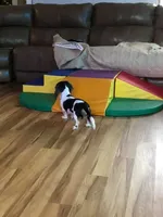 processed/45ad80c9-e884-4133-b50f-30a03d1fe6e1/facility/2ccaee85-df20-4eac-9a4d-a3bd4dd04138