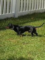 processed/45ad80c9-e884-4133-b50f-30a03d1fe6e1/facility/33b17a50-f57d-4782-8d1a-da106af07c91