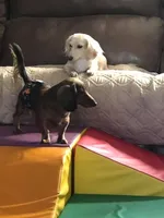 processed/45ad80c9-e884-4133-b50f-30a03d1fe6e1/facility/45b04aed-c4b9-46e8-8edd-f41ad299decd