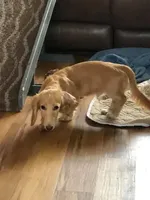 processed/45ad80c9-e884-4133-b50f-30a03d1fe6e1/facility/48b97f9d-0e22-45c1-b2c3-9c8ffd9e9cbf