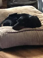 processed/45ad80c9-e884-4133-b50f-30a03d1fe6e1/facility/b4a4e52f-72fd-4027-a1f1-f71fdf8b353f