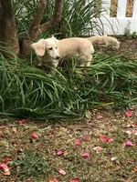 processed/45ad80c9-e884-4133-b50f-30a03d1fe6e1/facility/ec4ff47d-127e-476e-aa34-a06d005e26f3