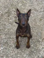 processed/45adbe12-5786-4aa8-8e4e-2ac1e3e909df/listing/5c80a697-807a-4500-bc04-9db3b5500d99/8d58a734-0a5c-46dd-a1ec-401a03a59b59