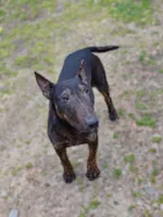 processed/45adbe12-5786-4aa8-8e4e-2ac1e3e909df/listing/5c80a697-807a-4500-bc04-9db3b5500d99/effc027e-77fd-4d7b-baa4-732f175c8f39