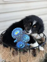 processed/45b668d5-af73-4b4f-867c-d33ce55cf2b7/listing/92d581c1-2b59-4aa8-8aad-5e5e79fb66c7/278e25b3-8114-426f-9516-1febbe311167