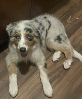 processed/45b668d5-af73-4b4f-867c-d33ce55cf2b7/listing/92d581c1-2b59-4aa8-8aad-5e5e79fb66c7/60668ff6-0a34-4e15-a03a-d4faaaed7f4c