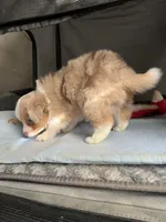 processed/45b668d5-af73-4b4f-867c-d33ce55cf2b7/listing/93a76d75-da55-4783-a198-18a92e36b058/321534ba-5f6c-423e-8f52-0f438bc094d5