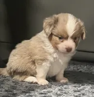 processed/45b668d5-af73-4b4f-867c-d33ce55cf2b7/listing/93a76d75-da55-4783-a198-18a92e36b058/3637f7e2-ab2d-4fb4-b8a7-a8973955e80d