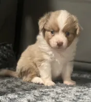 processed/45b668d5-af73-4b4f-867c-d33ce55cf2b7/listing/93a76d75-da55-4783-a198-18a92e36b058/3d32af92-1ee5-4f67-ac84-6647ed3938b6