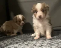 processed/45b668d5-af73-4b4f-867c-d33ce55cf2b7/listing/949c69ca-14ca-4840-a428-311ab59acfa6/10a69d33-66bf-445d-a010-33694b68324b