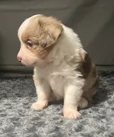 processed/45b668d5-af73-4b4f-867c-d33ce55cf2b7/listing/949c69ca-14ca-4840-a428-311ab59acfa6/3bdf5372-b908-458b-aa8a-55f8cc3bf578