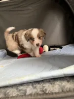 processed/45b668d5-af73-4b4f-867c-d33ce55cf2b7/listing/949c69ca-14ca-4840-a428-311ab59acfa6/4717d0c4-4468-419a-88af-863a8e965af0