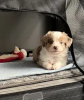 processed/45b668d5-af73-4b4f-867c-d33ce55cf2b7/listing/949c69ca-14ca-4840-a428-311ab59acfa6/790f1470-f9af-4648-8bda-18b666b3dbd0