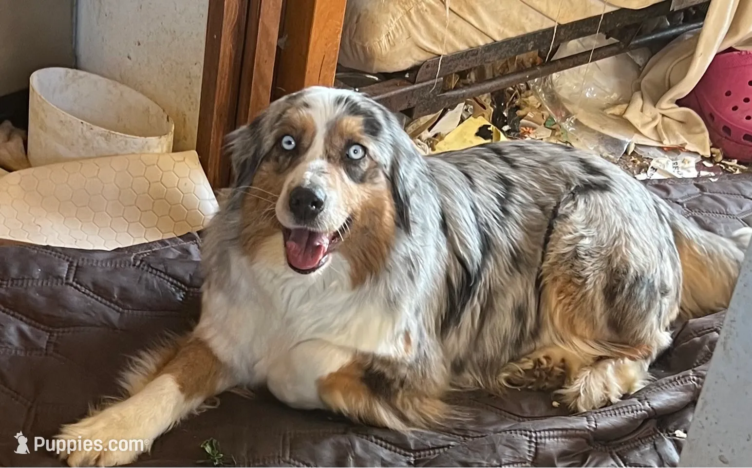 processed/45b668d5-af73-4b4f-867c-d33ce55cf2b7/listing/b47f5204-9d30-4839-85e7-87b36110a414/4d3ec992-20c5-48b7-93c9-da38da946cc4