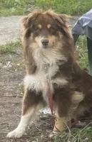 processed/45b668d5-af73-4b4f-867c-d33ce55cf2b7/listing/b47f5204-9d30-4839-85e7-87b36110a414/adf3d68d-a3c2-433a-a8a7-e7cb669c1942