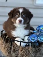 processed/45b668d5-af73-4b4f-867c-d33ce55cf2b7/listing/b47f5204-9d30-4839-85e7-87b36110a414/fc30ecb6-fc87-4948-b396-909fa0de77ab