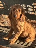 processed/45c66802-2b76-40d2-9e1a-34c225210929/listing/73312321-c9bf-45f7-9a3b-622e2efc3a04/400c9163-b6e3-4c85-a342-adae4b42cd26