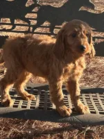 processed/45c66802-2b76-40d2-9e1a-34c225210929/listing/73312321-c9bf-45f7-9a3b-622e2efc3a04/8c4306d6-6405-4f14-b1d0-2e6a7b0b2c4e