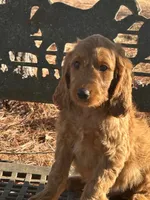 processed/45c66802-2b76-40d2-9e1a-34c225210929/listing/73312321-c9bf-45f7-9a3b-622e2efc3a04/fd91088c-3836-4ce8-b089-3230401cc67a