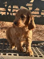 processed/45c66802-2b76-40d2-9e1a-34c225210929/listing/79f74968-9f1b-4f2f-a945-b3b792943fa8/6394dc9e-c137-4cee-98b5-fb9e451ec40f