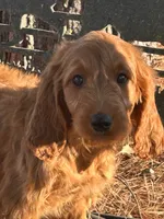 processed/45c66802-2b76-40d2-9e1a-34c225210929/listing/79f74968-9f1b-4f2f-a945-b3b792943fa8/9bad191a-5c55-4bec-81d4-19639e445227