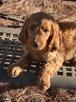 processed/45c66802-2b76-40d2-9e1a-34c225210929/listing/79f74968-9f1b-4f2f-a945-b3b792943fa8/ae0935ad-5193-482f-99ef-5bae58cb9a87