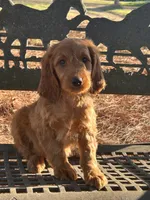 processed/45c66802-2b76-40d2-9e1a-34c225210929/listing/79f74968-9f1b-4f2f-a945-b3b792943fa8/bb59d227-c1f5-4392-a824-486c251d7b48