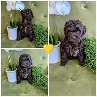 processed/45cf4287-4fa0-4b04-8986-62589ce7adc1/facility/07f328a2-2103-4157-8313-1f43ab99714e