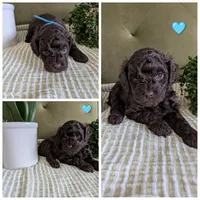 processed/45cf4287-4fa0-4b04-8986-62589ce7adc1/facility/4cda75f3-4ac5-43d8-887e-fe1ce936b2d1