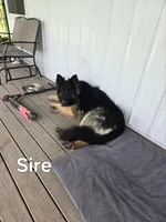 processed/45db0635-16fd-4619-afca-0a042c1b4e2e/listing/5a9ff577-121a-4806-9cd7-82c7bb7bdc53/6f6d2d10-95b5-4a5e-874e-dd96c831f7f3