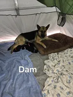 processed/45db0635-16fd-4619-afca-0a042c1b4e2e/listing/5a9ff577-121a-4806-9cd7-82c7bb7bdc53/eb0986ec-cf83-48a9-af5a-e01961a7d212