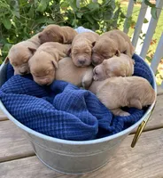 processed/45dd81c1-b7be-4b5e-9224-da0d8be93f66/facility/115d9807-bc93-4b34-92a9-e5427cb9f36a