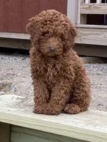 processed/45dd81c1-b7be-4b5e-9224-da0d8be93f66/facility/3ad71120-447c-483b-9731-a2059eabb76f