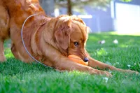 processed/45dd81c1-b7be-4b5e-9224-da0d8be93f66/facility/64ddbfec-5bde-40db-9108-61b31e0e6d85