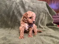 processed/45e27dab-7ff1-47a8-a936-5b9e119329ad/listing/784880f0-4ebb-4b26-b907-d17af46eded0/7ae3ef29-3ca0-4583-b7d9-211a37a19113