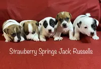 processed/45eb06c5-4b4e-4513-96d5-2668720d5002/facility/2daea41e-5efa-474c-ada9-665b475881e6