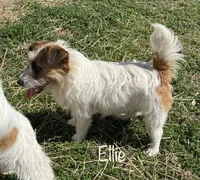 processed/45eb06c5-4b4e-4513-96d5-2668720d5002/facility/53baf0b3-9d73-4c4f-8bf0-aa5d7ed0690a