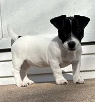 processed/45eb06c5-4b4e-4513-96d5-2668720d5002/facility/70cf4e70-1166-4ab9-8042-957022407292