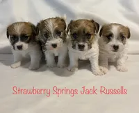 processed/45eb06c5-4b4e-4513-96d5-2668720d5002/facility/ebbc7ef0-3e26-4095-8db9-d4935e44f110