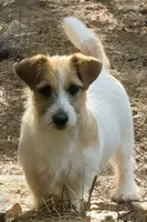 processed/45eb06c5-4b4e-4513-96d5-2668720d5002/facility/fbc88468-0c2a-461c-ad03-3719659b30b1