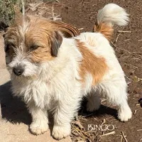 processed/45eb06c5-4b4e-4513-96d5-2668720d5002/facility/fdf13d2f-e7d0-415f-8d45-c5be3d660654