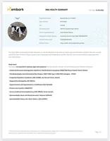 AKC Onyx, a female Jack Russell Terrier for sale in Westville, OK – Photo 7 of 9